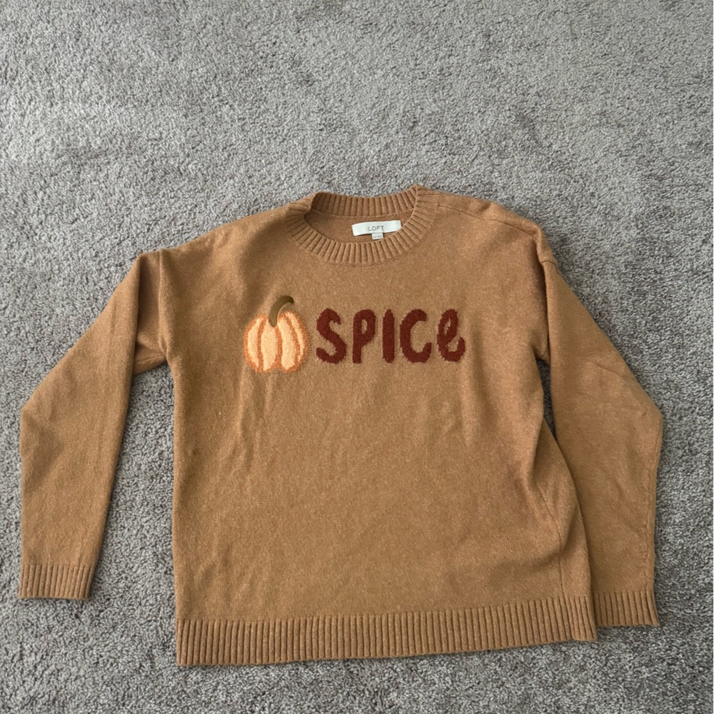 Pumpkin Spice Tan Fall Sweater XS